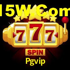 Pgvip App