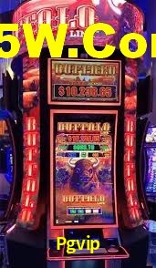 Pgvip